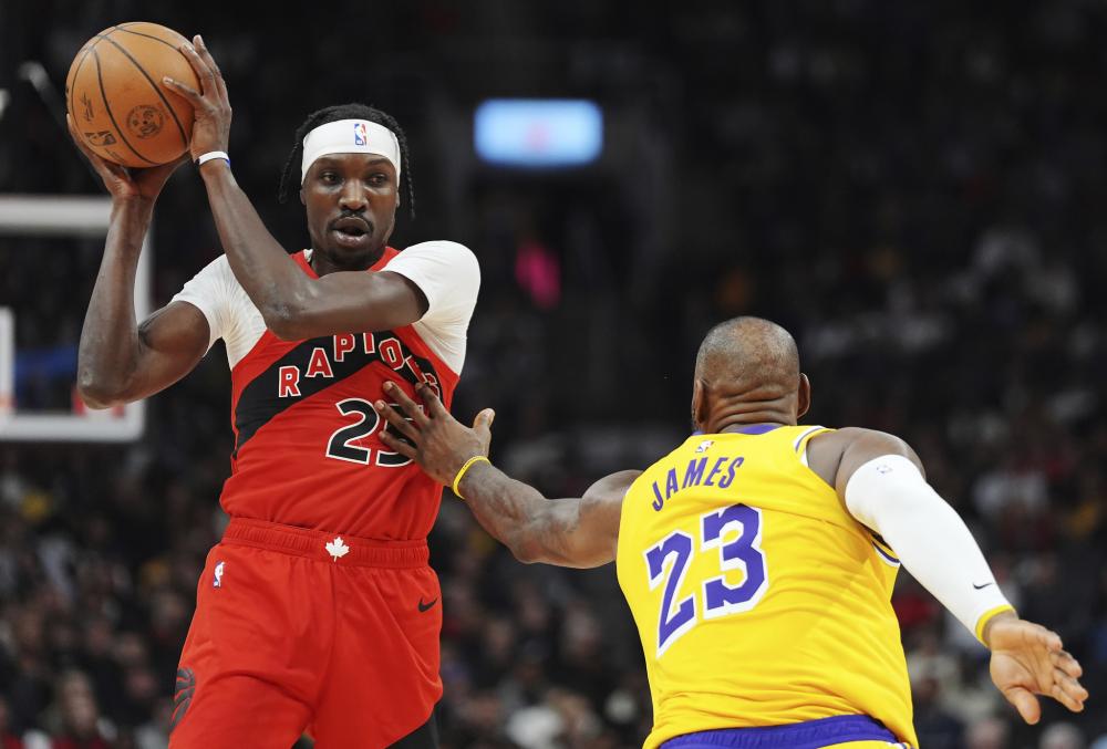 看到了一条 看到了一条