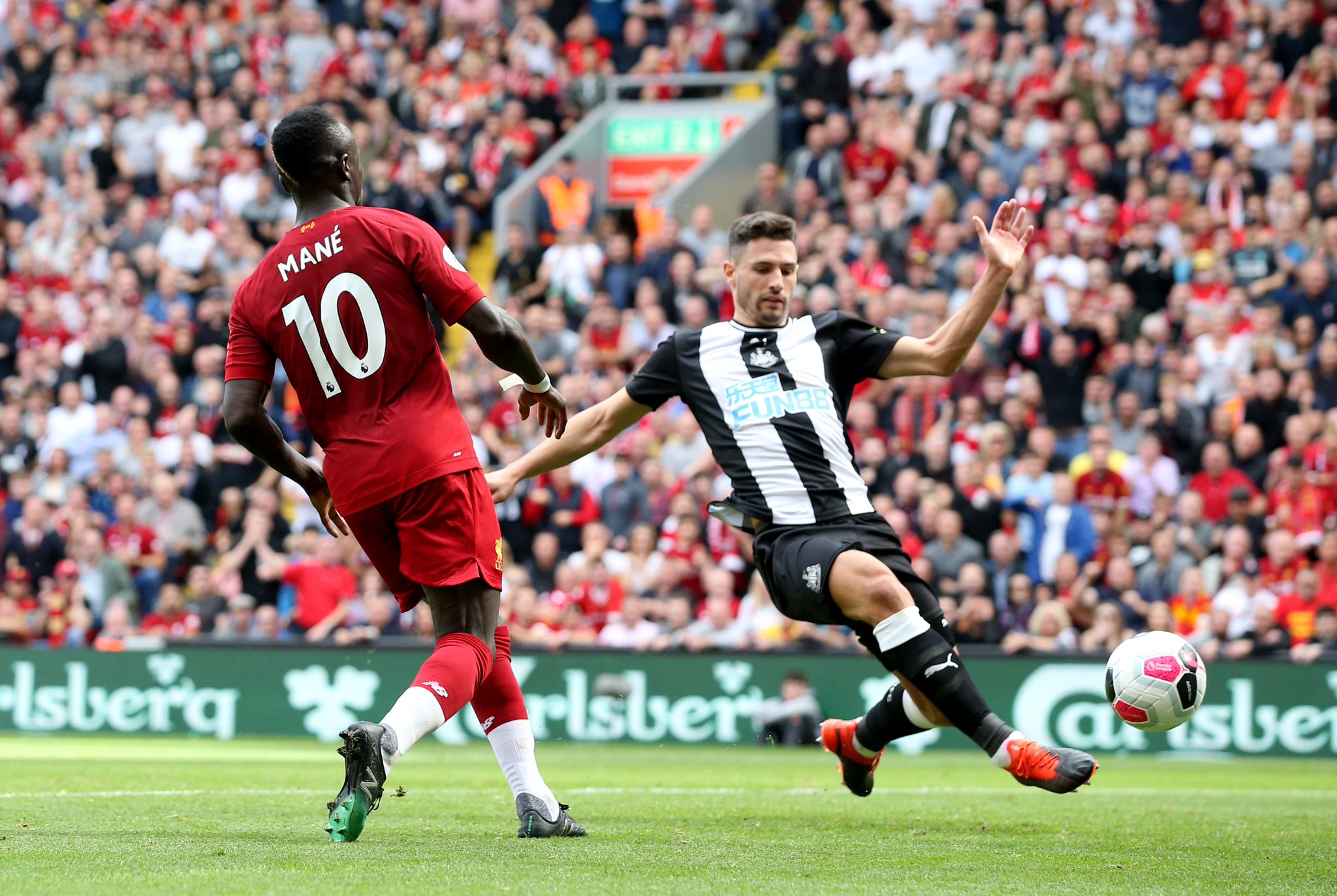 浦来说无疑 浦来说无疑